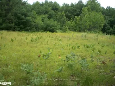 Lot 31 Conc 13 Housey Rapids Road, Kawartha Lakes, On L0k 2b0