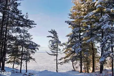 409 Forest Hill Road, French River / Rivière Des Français, On P0m 2n0