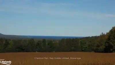 796304 7th Line, Meaford, On N4l 1w5
