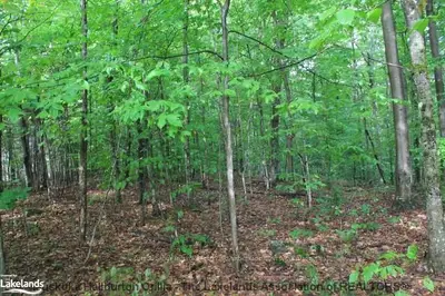 East Browns Road, Huntsville, On P1h 0a5