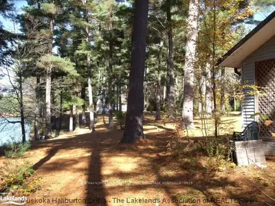 Hindon Forest Access Road, Lake Of Bays, On P1l 1x1
