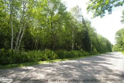 35 Springfield Road, Huntsville, On P1h 2j3