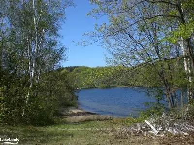 1169 Foreman Road 3, Muskoka Lakes, On P0b 1j0