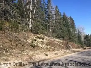 1134 Peggs Mountain Road, Ryerson, On P0a 1c0