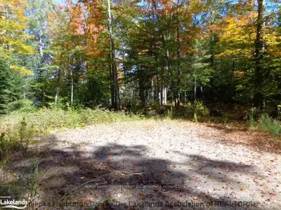 Misty Knoll Trail, Dysart Et Al, On, K0m 2s0