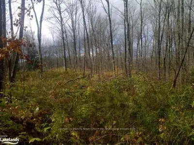 County Rd 121 & Ravine Road, Minden Hills, On K0m 2k0