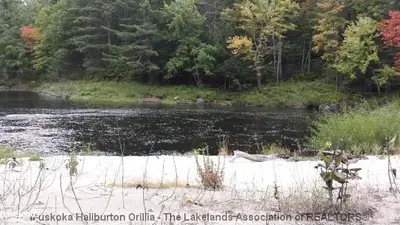 Black River Road, Kawartha Lakes, On K0m 7l6