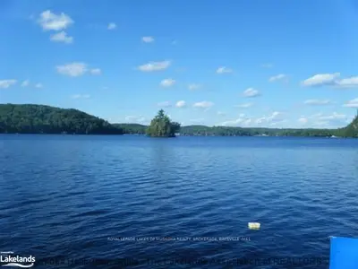 1121 Osborne Point Road, Lake Of Bays, On P1h 2j3