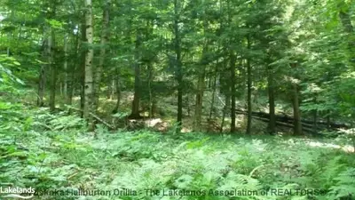 Raymond Road, Muskoka Lakes, On, P0b 1m0