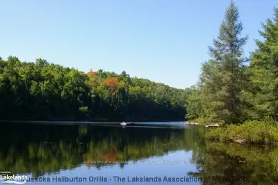 341 Estonian Camp Road, Huntsville, On P0b 1l0