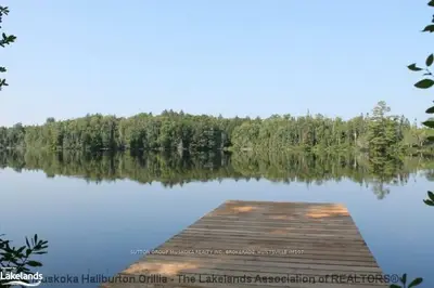 Lot 1 Tom Thomsom Trail, Lake Of Bays, On, P1h 2j6