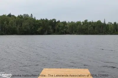 Lot 2 Tom Thomson Trail, Lake Of Bays, On, P1h 2j6