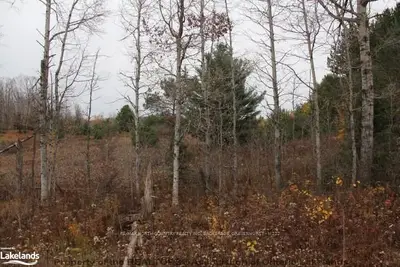 Doe Lake Road, Bracebridge, On P1p 1r3