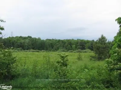 Doe Lake Road Road, Bracebridge, On P1p 1r3