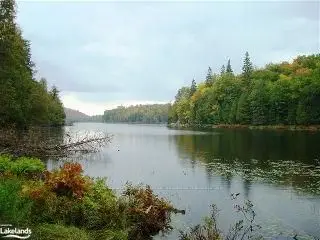 Williamsport Road, Lake Of Bays, On P1h 2j4