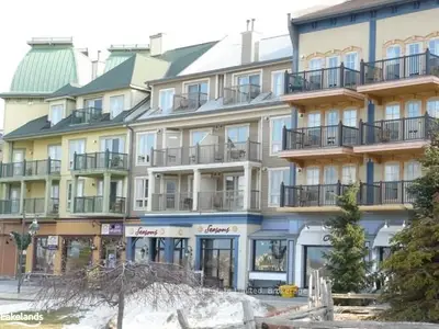 170 Jozo Weider Boulevard 407, Blue Mountains, On L9y 1v0