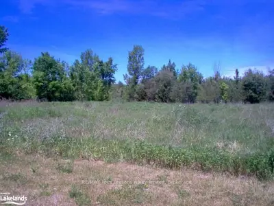 115 Lendvay Alley, Blue Mountains, On, L9y 0s3