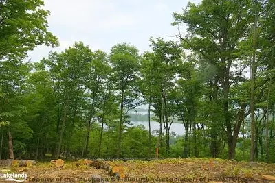 19 Forest Hill Lane Lot 5, Huntsville, On P1h 2n5