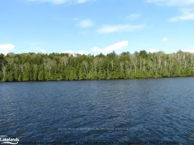 Dotty Lake, Lake Of Bays, On, P1h 2j6