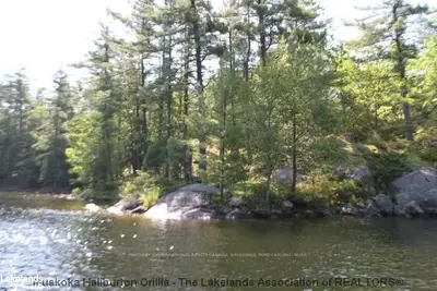 Moon River, Muskoka Lakes, On, P0c 1a0