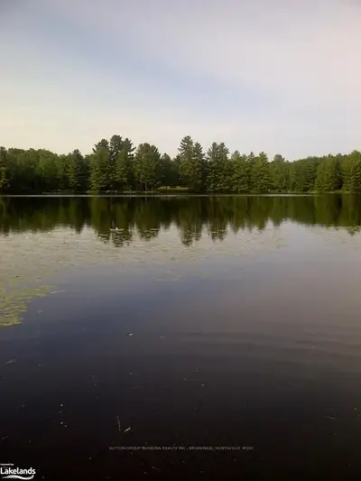 136 Hunts, Huntsville, On, P1h 2j4
