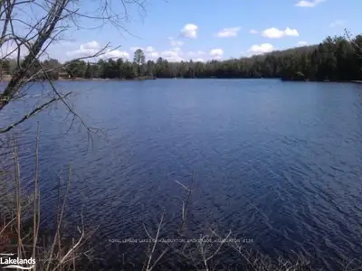 Brady Lake Road, Minden Hills, On K0m 2k0