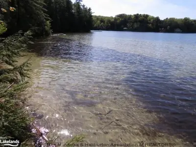 1061 Robert's Bay Road, Muskoka Lakes, On P0b 1j0