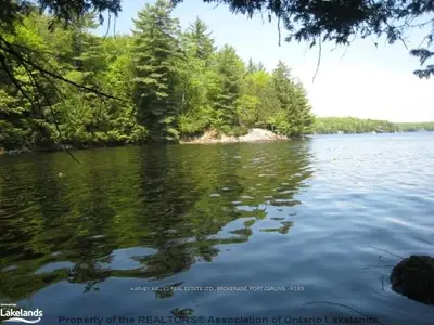 Trillium Drive, Muskoka Lakes, On P0b 1j0