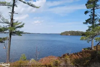 1155 Ashforth Drive, Muskoka Lakes, On P0c 1a0