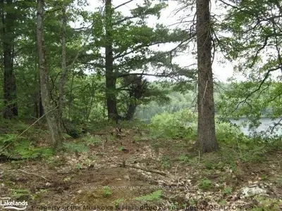 Growler Lake Road, Dysart Et Al, On, K0m 2s0