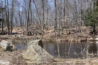 2851 141, Muskoka Lakes, On, P0b 1m0