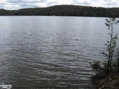 Bovenizer Trail, Dysart Et Al, On, K0m 3c0