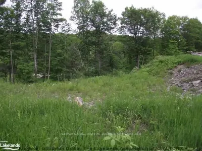 34 Estate Drive, Muskoka Lakes, On, P0b 1j0