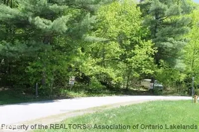 Johnston Street, Muskoka Lakes, On P0b 1j0