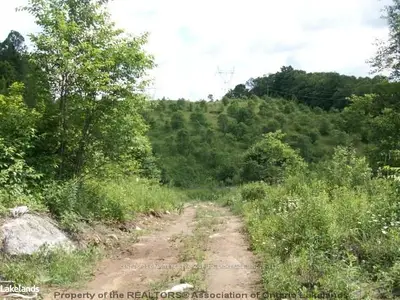 Haliburton Lake Road, Dysart Et Al, On K0m 1s0