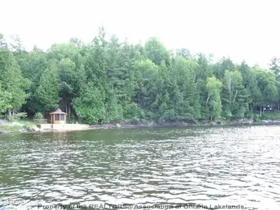 1140 Cowan Park Road 12, Muskoka Lakes, On P0b 1m0