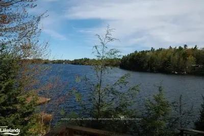 1056 Long Lake Road, Muskoka Lakes, On P0c 1a0