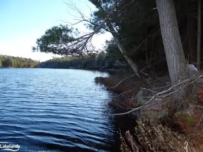 Seagull Lake Road, Parry Sound Remote Area, On P0h 1a0