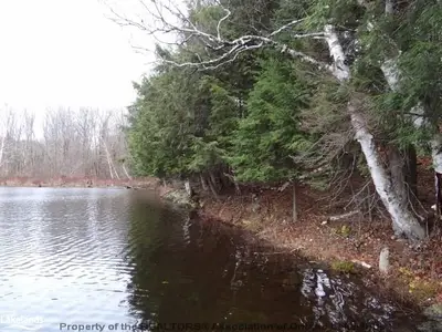 #part1 Loon Bay Lane, Parry Sound Remote Area, On, P0h 1y0