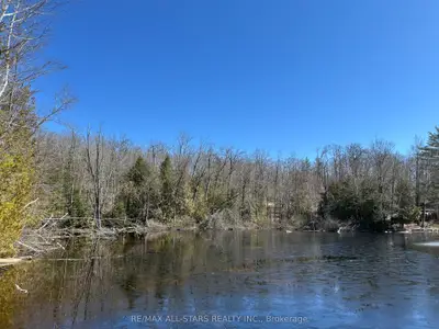 Vacant Land in Trent Lakes