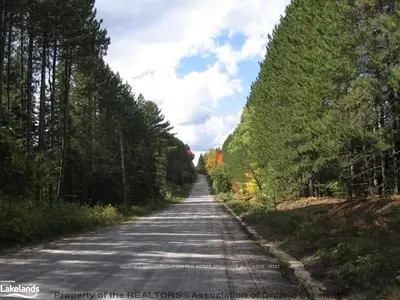 Lot 13 North Horn Lake Road, Strong, On P0a 1z0