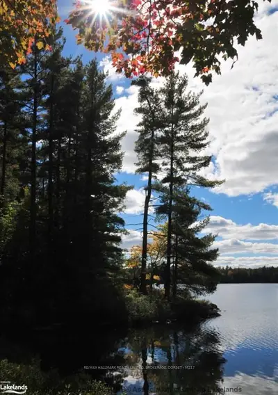 Woodbine Lake Road, Bracebridge, On P0b 1l0