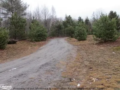 324 Old Muskoka Road, Huntsville, On P1h 2j2