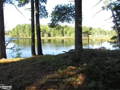 Lot 3 Limberlost Road, Lake Of Bays, On P1h 2j6