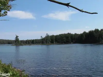Lot 1 Limberlost Road, Lake Of Bays, On, P1h 2j6