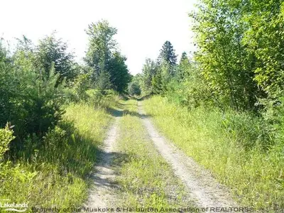 South Lake Road, Minden Hills, On K0m 2k0