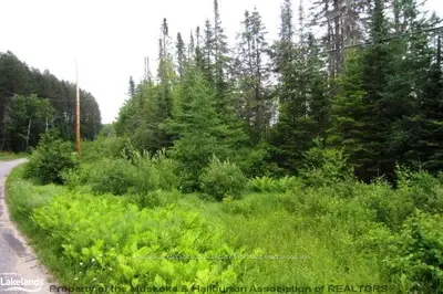 Fraserburg Road, Lake Of Bays, On P1l 1x3