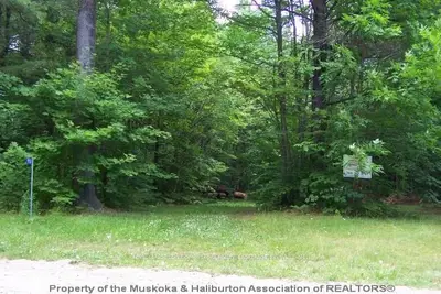 933 Dickie Lake Road, Lake Of Bays, On P0b 1a0