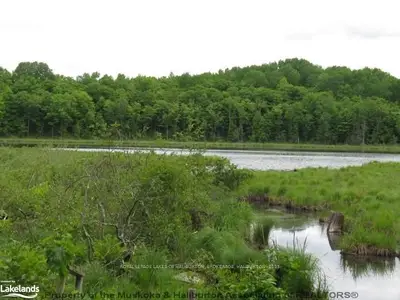 Highway 35 And Clear Lake Road, Minden Hills, On, K0m 2k0