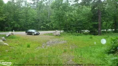 1163 Muskoka Road 10, Huntsville, On, P0b 1l0